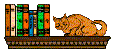 click to see what's on the bookshelf