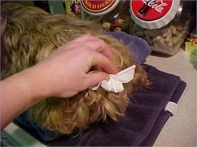 Apply pressure with tissue to be sure there's no bleeding