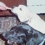 Bailey & Skipper